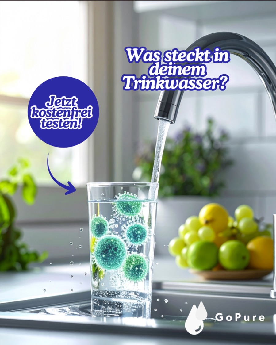 GoPure aktuelles Angebot